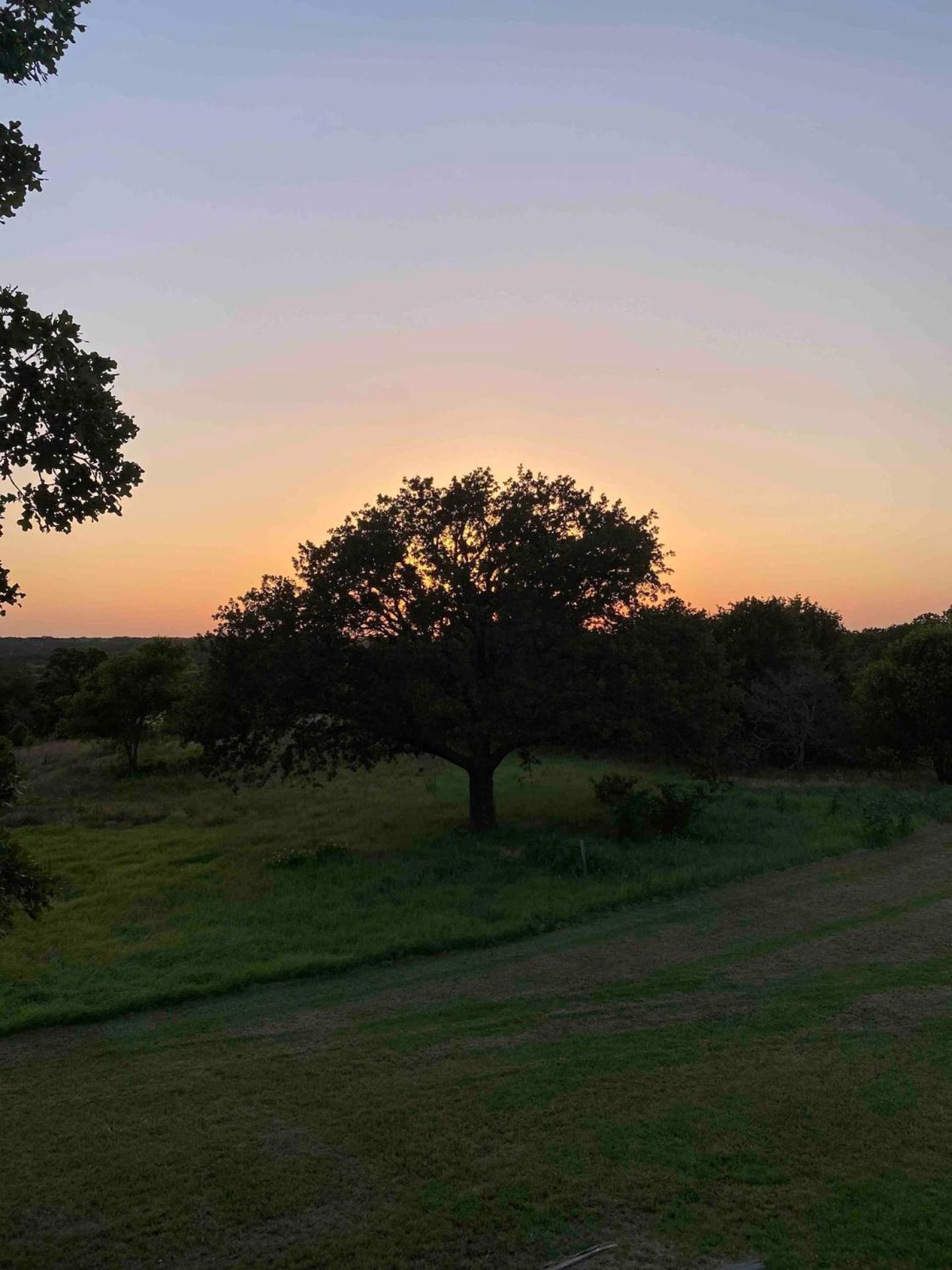 Nature Retreateclectic Country Boho Farmhouse Nocona Eksteriør billede