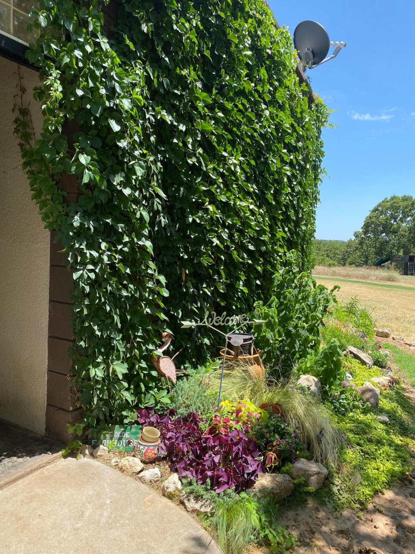 Nature Retreateclectic Country Boho Farmhouse Nocona Eksteriør billede